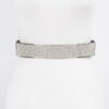 Rhinestone Metal Plate Elastic Belt – Sparkling Plate