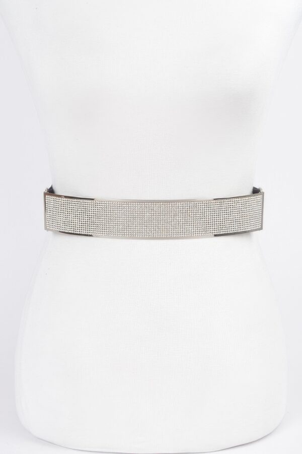 Rhinestone Metal Plate Elastic Belt – Sparkling Plate