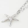 Starfish Link Chain Necklace – Shiny Metallic Pendant