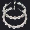 Rhinestone Flower Hoop Earrings with Sparkling Accents