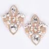 Multi Rhinestone Earrings – Polished Metallic Frame