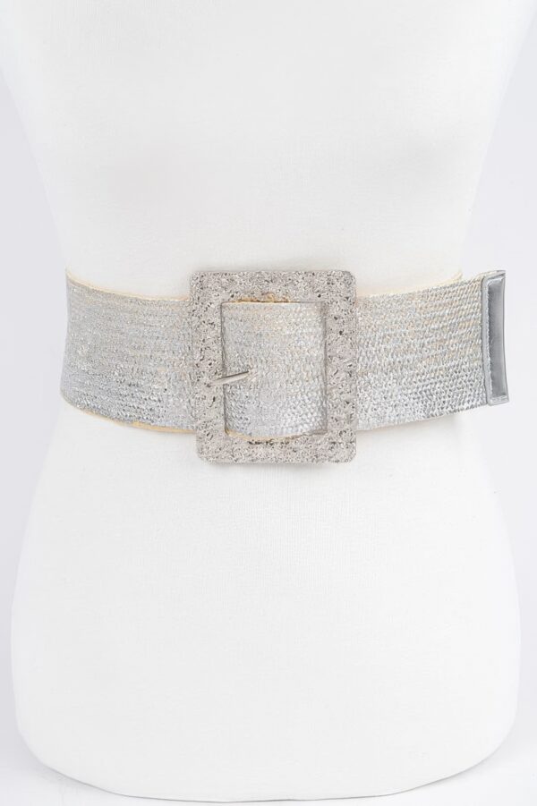 Wide Clear Belt with Oversized Metal Buckle