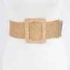 Wide Clear Belt with Oversized Metal Buckle