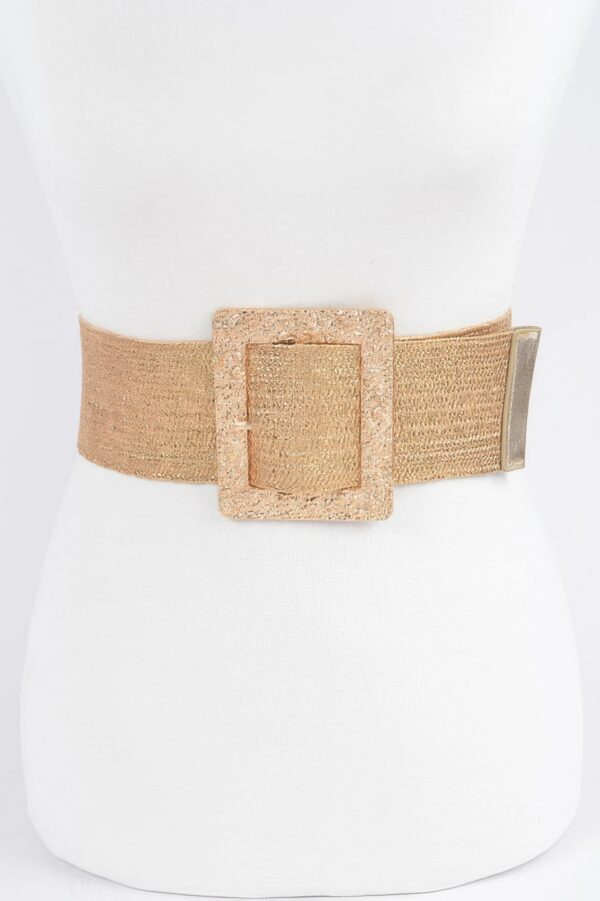 Wide Clear Belt with Oversized Metal Buckle