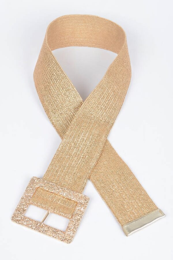 Wide Clear Belt with Oversized Metal Buckle