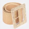 Wide Clear Belt with Oversized Metal Buckle