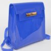Clear PVC Backpack with Metallic Accents