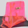 Clear PVC Backpack with Metallic Accents