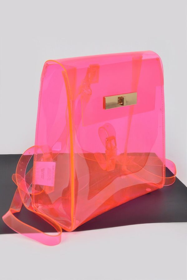 Clear PVC Backpack with Metallic Accents