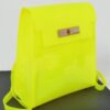 Clear PVC Backpack with Metallic Accents