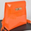 Clear PVC Backpack with Metallic Accents