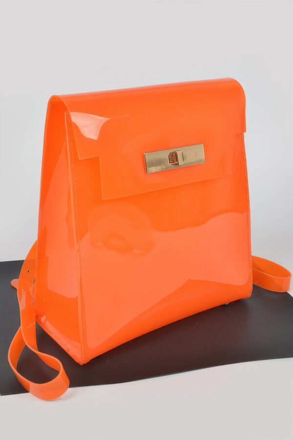 Clear PVC Backpack with Metallic Accents