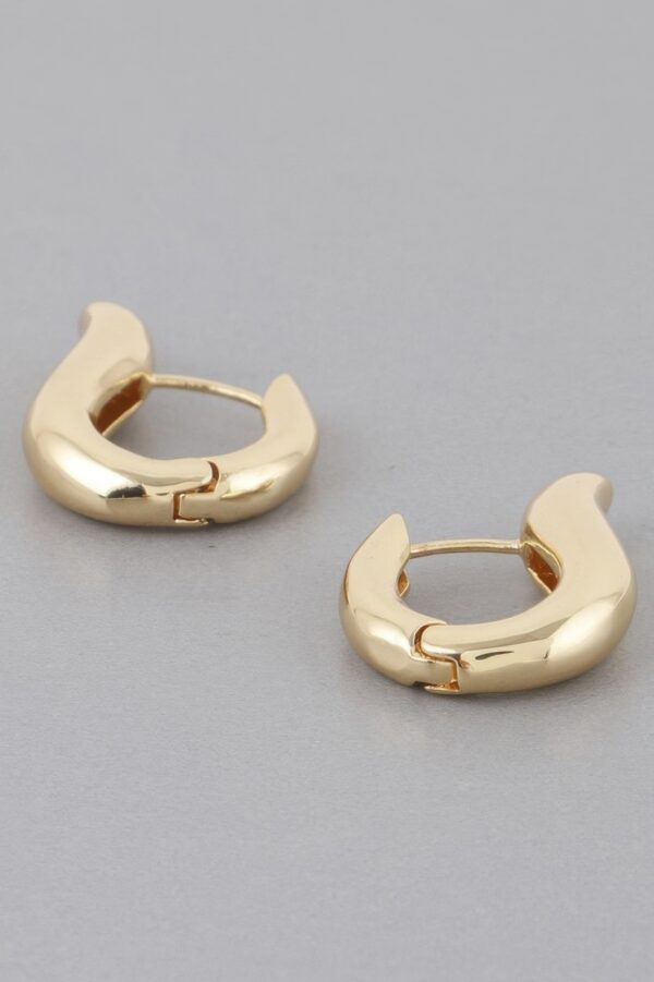 Harp Hoop Earrings – Sculptural Polished Metallic Hoops