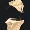 Hammered Metal Earrings – Polished Textured Finish