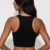 Sheer Mesh Panel Crop Tank Top – Crew Neck