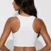 Sheer Mesh Panel Crop Tank Top – Crew Neck