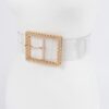 Wide Clear PVC Belt with Metal Buckle – Transparent