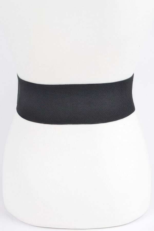 Multi Metal Elastic Belt – Wide Metallic Accent