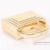 Metallic Acrylic Clutch with Crystal Trim