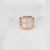Clear PVC Belt – Metal Buckle Accent