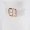 Clear PVC Belt – Metal Buckle Accent