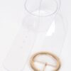 Transparent Round Buckle Belt – Clear PVC
