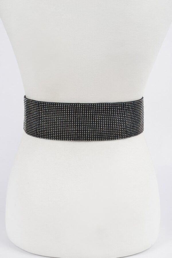 Wide Rhinestone Belt – 2.5 inch Glam Waist