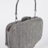 Rhinestone Fringe Hard Clutch – Mixed Metal Accents