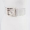 Clear PVC Waist Belt with Metal Buckle