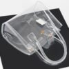 Clear PVC Crossbody Bag with Mixed Metal Accents