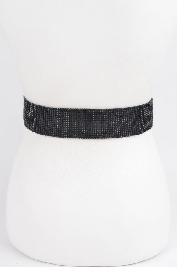 Rhinestone Belt – Wide 2 Inch Sparkle Accent