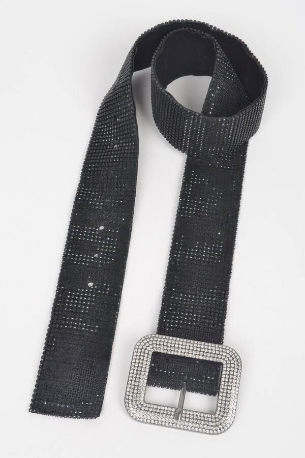 Rhinestone Belt – Wide 2 Inch Sparkle Accent
