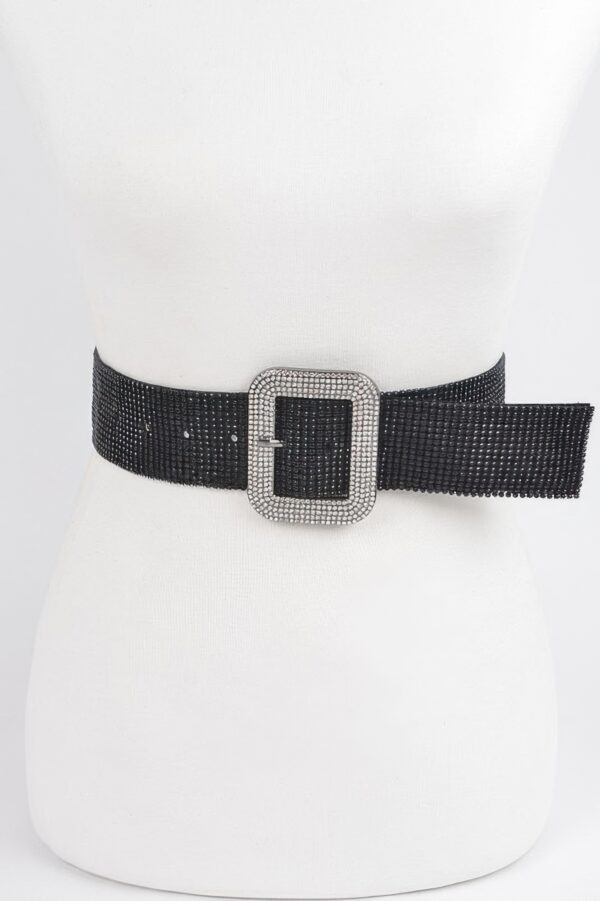 Rhinestone Belt with Full Crystal Detail – 2 in Width