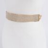 Rhinestone Metal Waist Belt – Structured Sparkle