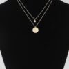Delicate Double Pendant Necklace with Layered Design