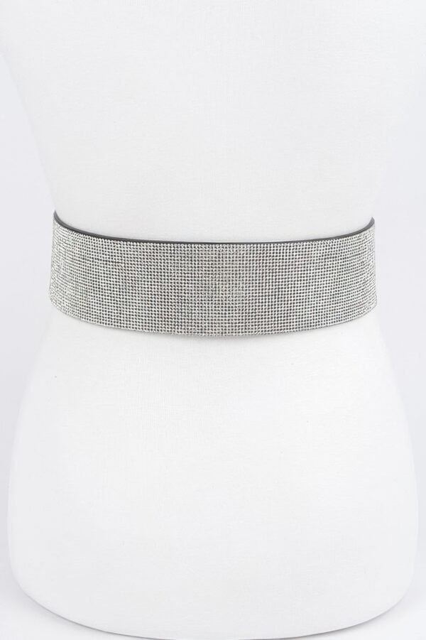 Mixed-Metal Rhinestone Waist Belt