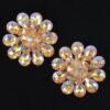 Rhinestone Studded Earring – Sparkling Stud