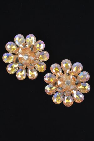 Rhinestone Studded Earring – Sparkling Stud