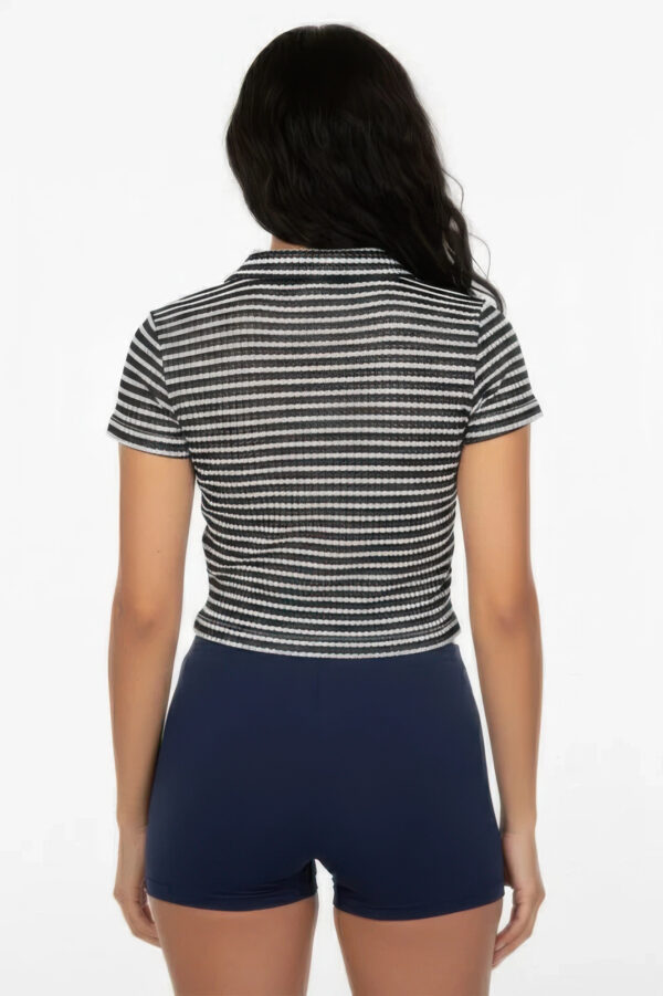 Pineapple Knit Striped Polo Crop Top