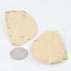 Hammered Leaf Stud Earrings - Oversized Organic Shape