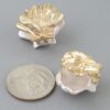Two-Tone Clamshell Clasp Earrings - Gold-Tone & Pearlized