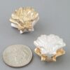 Two-Tone Clamshell Clasp Earrings - Gold-Tone & Pearlized