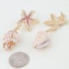 Bejeweled Starfish Shell Drop Earrings - Pink Accent
