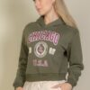 Drop-Shoulder Pullover Hoodie with Chicago Graphic