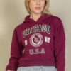 Drop-Shoulder Pullover Hoodie with Chicago Graphic