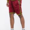 Status Print Velour Suede Shorts – Elastic Logo Waistband