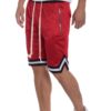 Mesh Basketball Shorts with Contrast Stripe Band