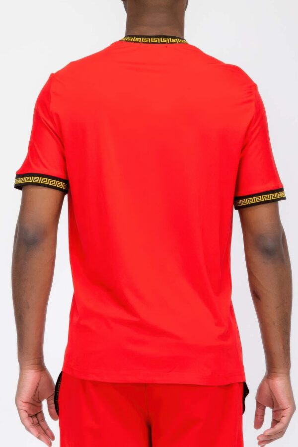 Men’s T-Shirt with Gold Lion Embroidery in Classic Colors