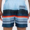 Men’s Blue Striped Swim Shorts with Mesh Liner