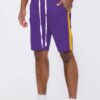 Men’s Single Stripe Slim-Fit Track Shorts – Athletic Design